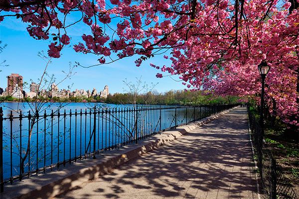 Jardín Botánico de Brooklyn